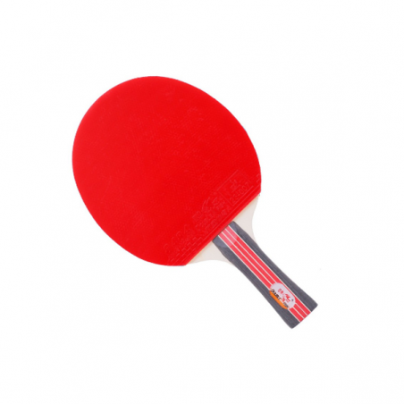 Double Fish Table Tennis Bat -2D-C